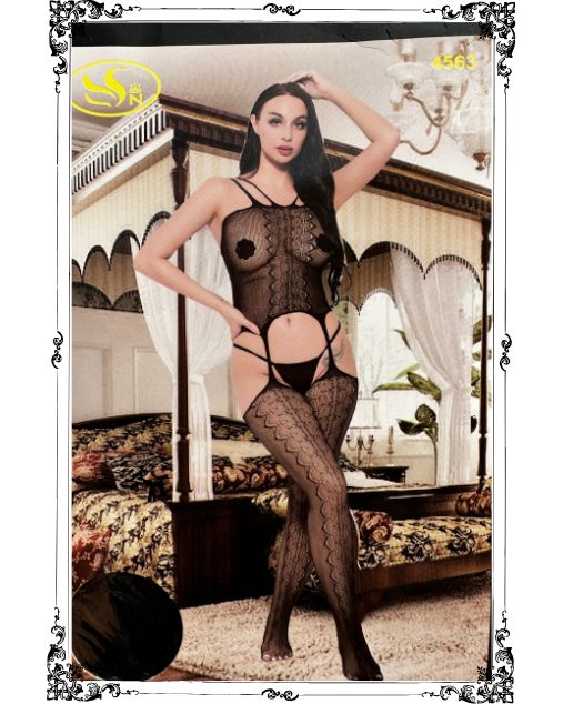 Sculpted Seduction: Sheer Full Body Stocking Elegance (4563)