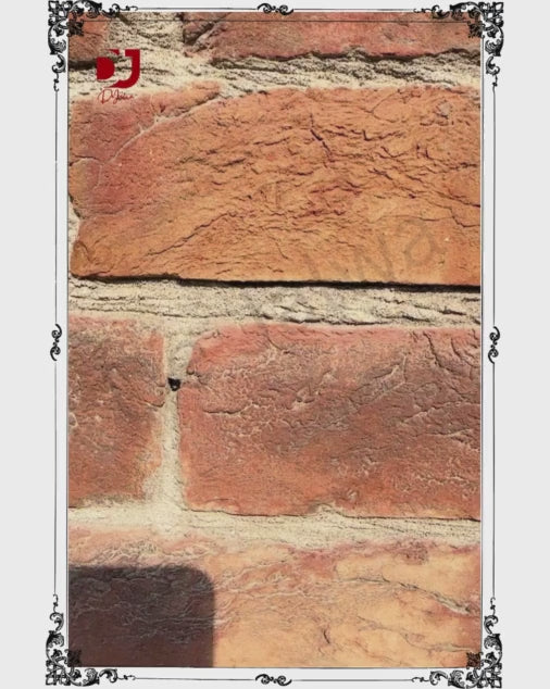 Decent Criss Cross Fishnet Full Body Stocking (WF71-4770)